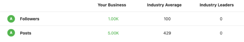 Business Instagram Page Info